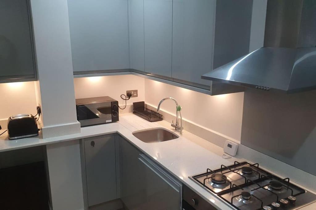 Cosy Apartment Alexandra Palace Haringey, London Kültér fotó