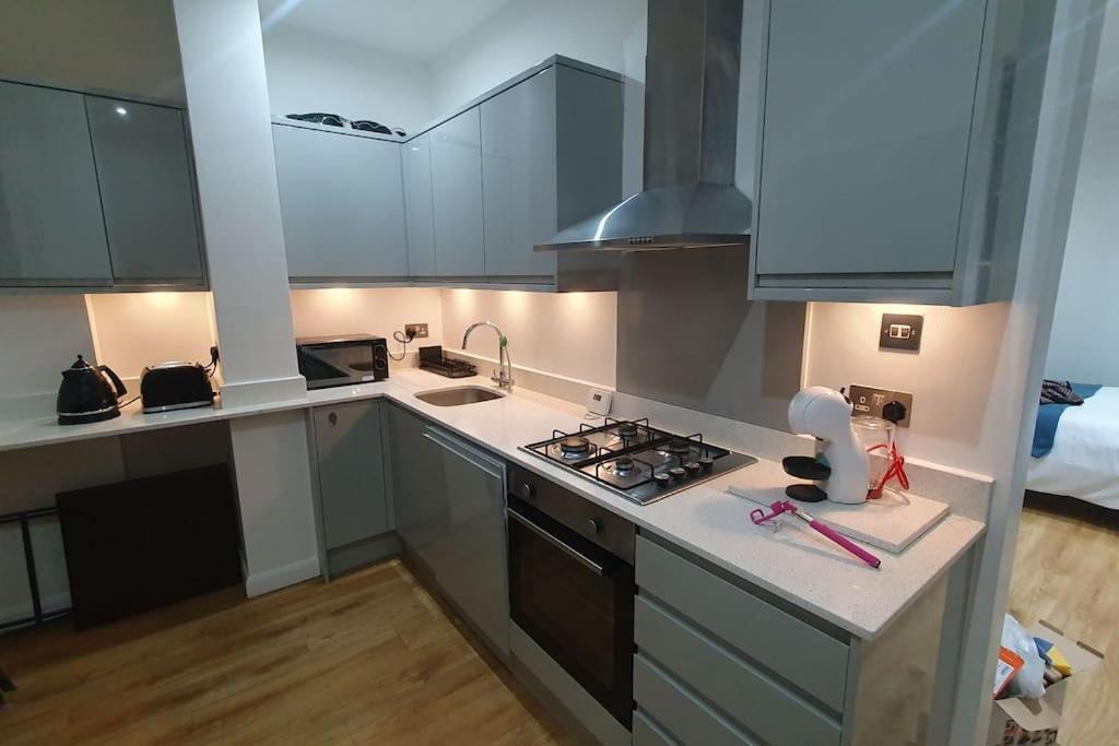 Cosy Apartment Alexandra Palace Haringey, London Kültér fotó